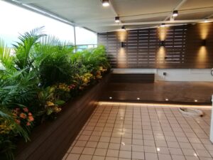 元朗順豐圍天台戶外木花園工程13