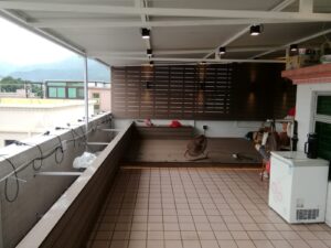 元朗順豐圍天台戶外木花園工程9